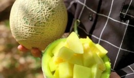 娱乐吃的瓜,明星们的“吃瓜”日常