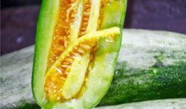 吃瓜爆料网红最新免费,吃瓜爆料最新免费资讯大盘点